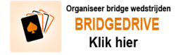 bridgedrive_banner